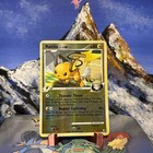 Raichu GL