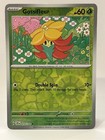 Gossifleur