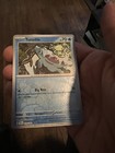 Totodile