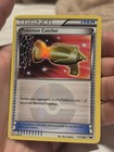 Pokemon Catcher