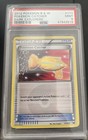 Pokemon Catcher