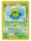 Skiploom