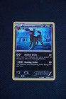 Umbreon