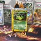 Victreebel