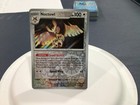 Noctowl