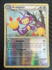 Ambipom