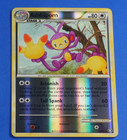 Ambipom
