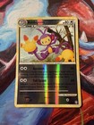 Ambipom