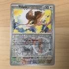 Pidgey