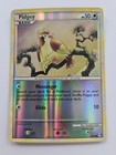 Pidgey