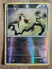 Pidgey