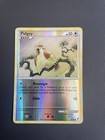 Pidgey