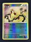 Pidgey