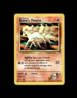 Ponyta
