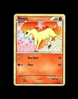 Ponyta