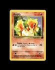 Ponyta