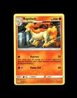 Ponyta