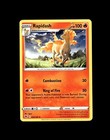 Ponyta