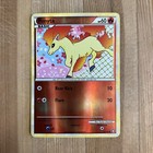 Ponyta