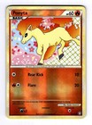 Ponyta