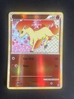 Ponyta