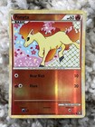 Ponyta