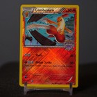 Combusken