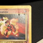 Arcanine