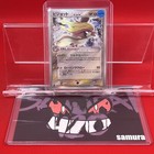 Pidgeot EX
