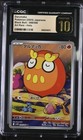 Darumaka