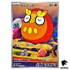Darumaka