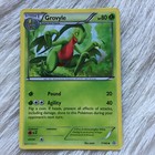 Grovyle