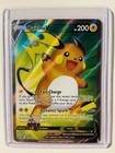 Raichu V
