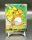 Raichu V