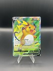 Raichu V