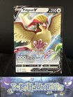 Pidgeot V