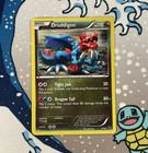 Druddigon
