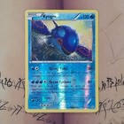 Kyogre