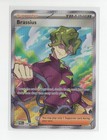 Brassius