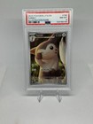 Furret