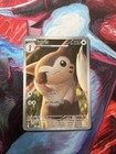 Furret