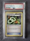 Sceptile Spirit Link