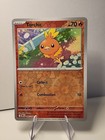Torchic