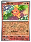 Torchic