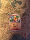 Torchic