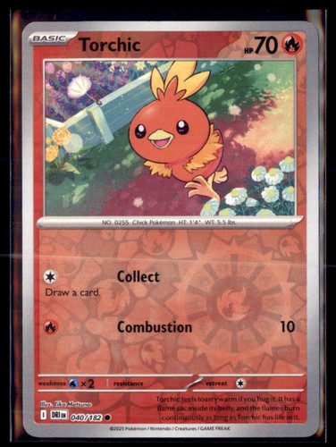 Torchic