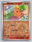 Torchic