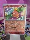 Torchic