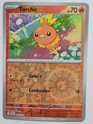 Torchic