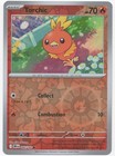 Torchic